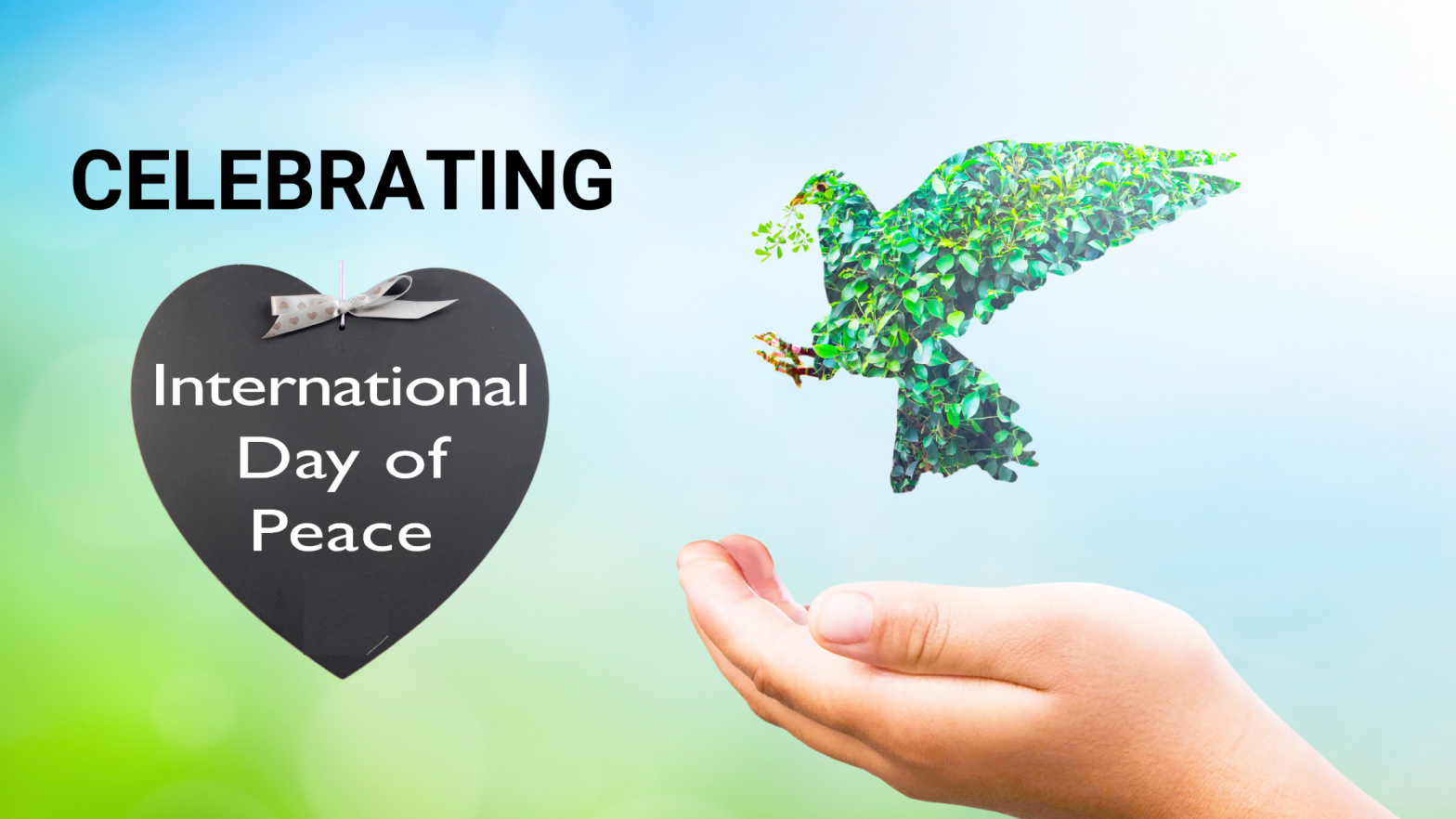 Celebrating 2020 International Day of Peace with the HM Community