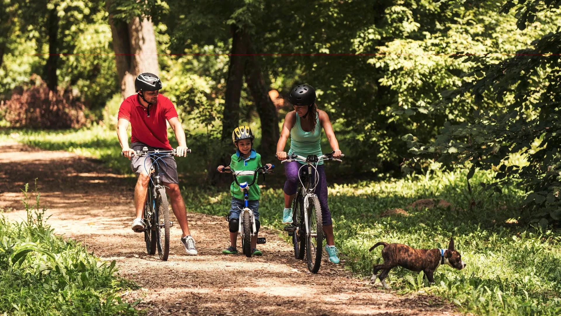 Cycling and Walking Trails in and Around Bengaluru: Connecting with Nature