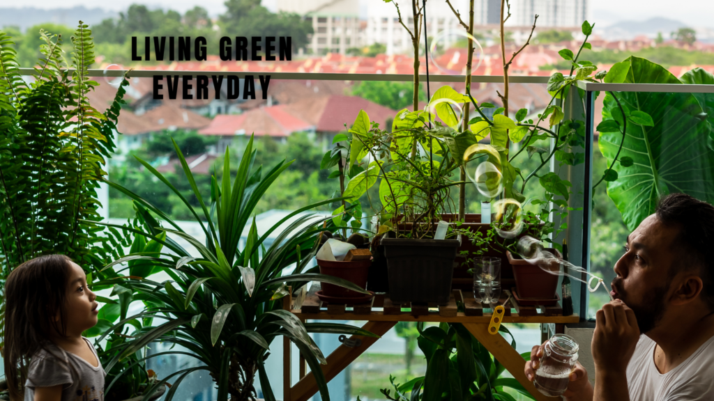 Living Green Every Day: Simple Ways to Embrace a Sustainable Lifestyle - HM