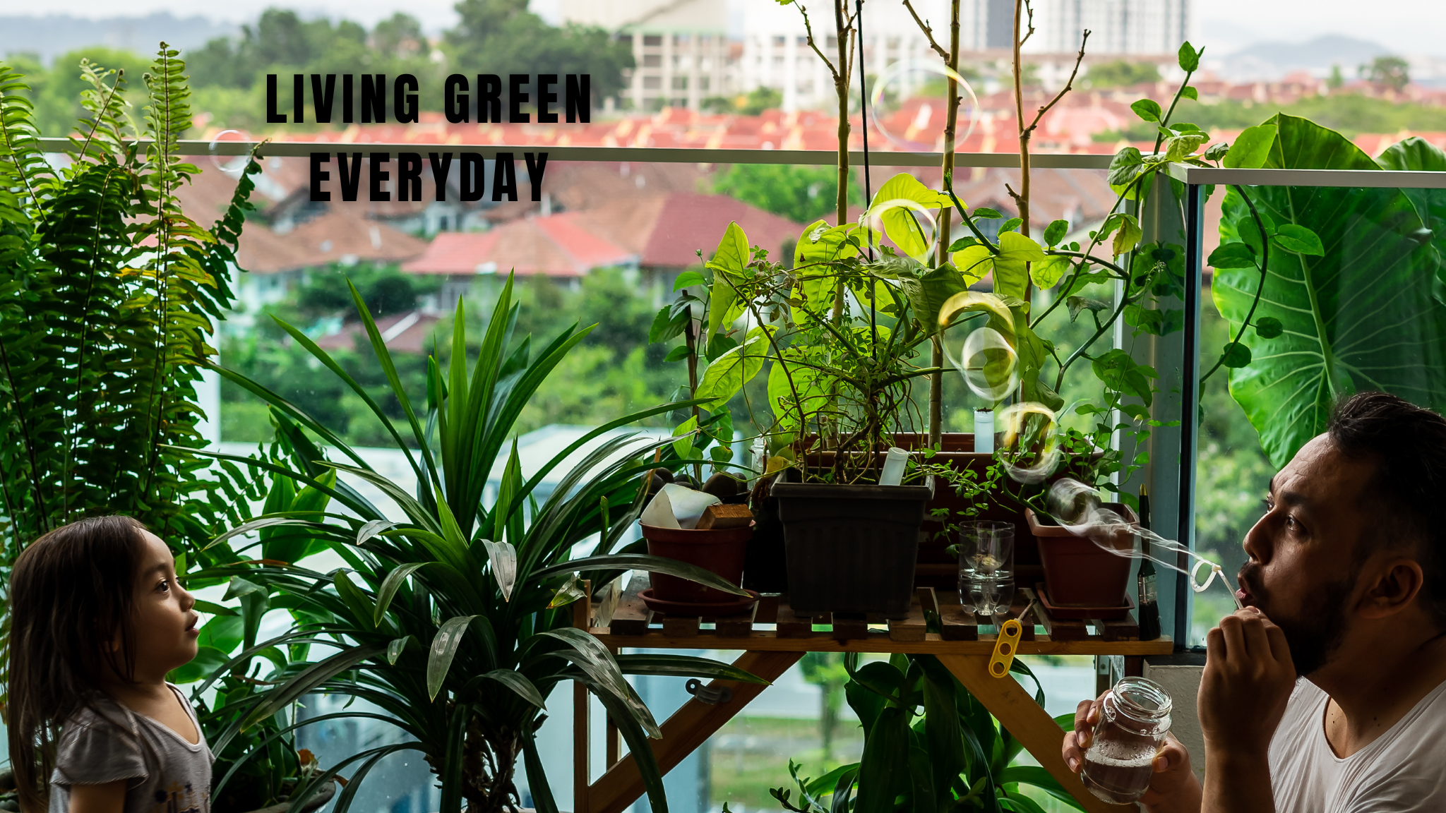 Living Green Every Day: Simple Ways to Embrace a Sustainable Lifestyle