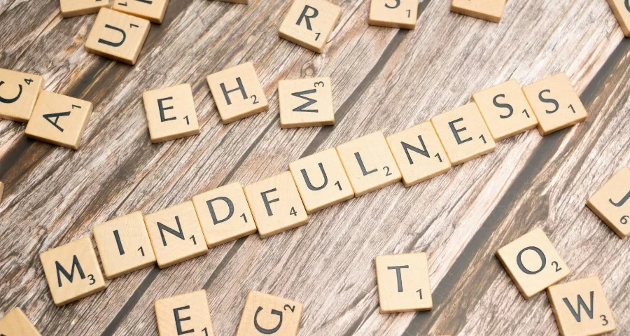 The Joy of Everyday Mindfulness: Creating Zen in Your Living Spaces